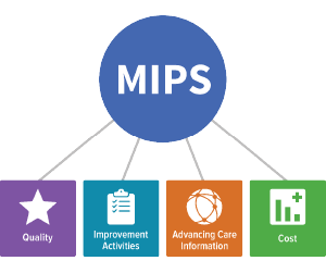 MIPS 2024 Update